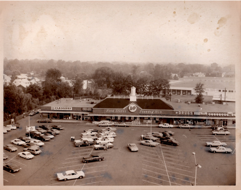 Shopping Mall A and P New Bridge Road and Woodbine Ave.PNG