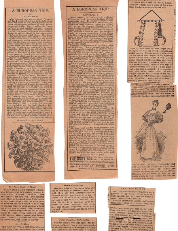 Assortment of 19th century periodicals and newspaper clippings of recipes and home remedies 1.jpg