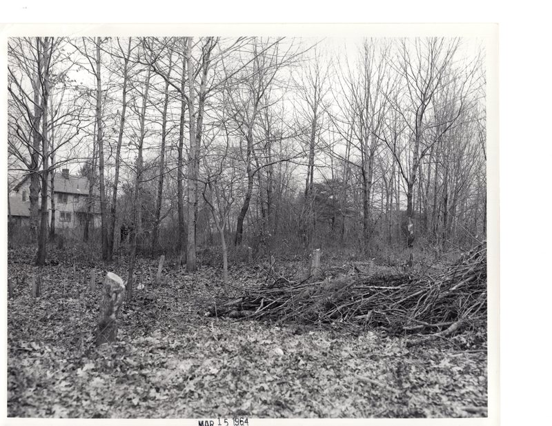 1 black and white photograph 8 x 10 exterior woods and clearing March 15 1964.jpg