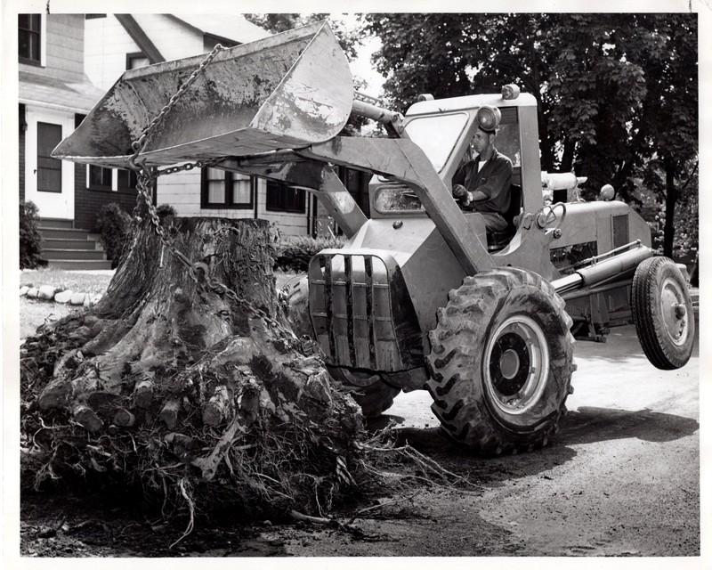 1 black and white photograph 8 x 10 Public Works Department pulling tree stump undated.jpg