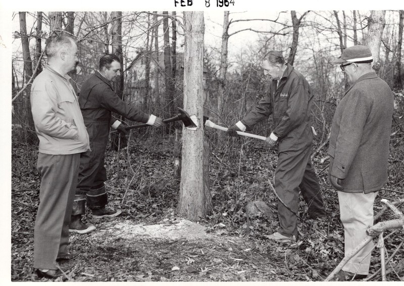1 black and white photograph 5 x7 two men chopping tree two men observe Feb 8 1964.jpg