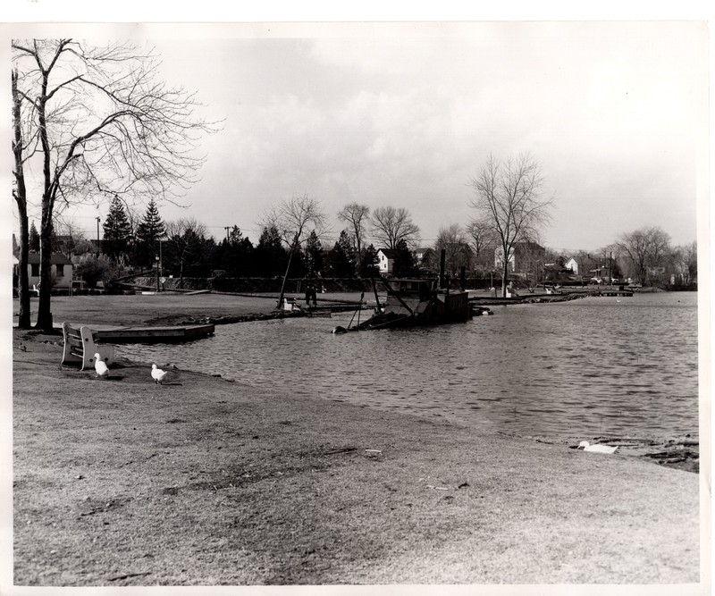 2 black and white photographs of Coopers Pond 8 x 10 2.jpg
