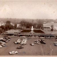 Shopping Mall A and P New Bridge Road and Woodbine Ave.PNG