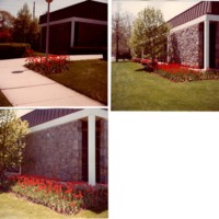 Colored photographs Bergenfield Public Library exterior Spring 1979 2.jpg