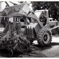 1 black and white photograph 8 x 10 Public Works Department pulling tree stump