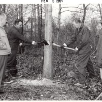 1 black and white photograph 5 x7 two men chopping tree two men observe Feb 8 1964.jpg