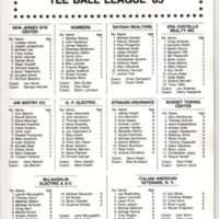 Bergenfield Little League Yearbook 1985 3.jpg