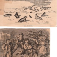 Assortment of 19th century newspaper clippings of images 3.jpg