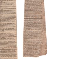Assortment of 19th century periodicals and newspaper clippings 3.jpg