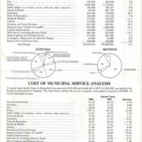 P 5 Bergenfield Annual Report 1987